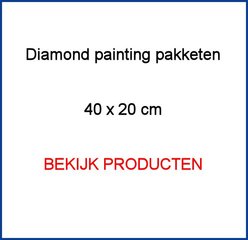 Diamond Painting pakketten 40x20cm